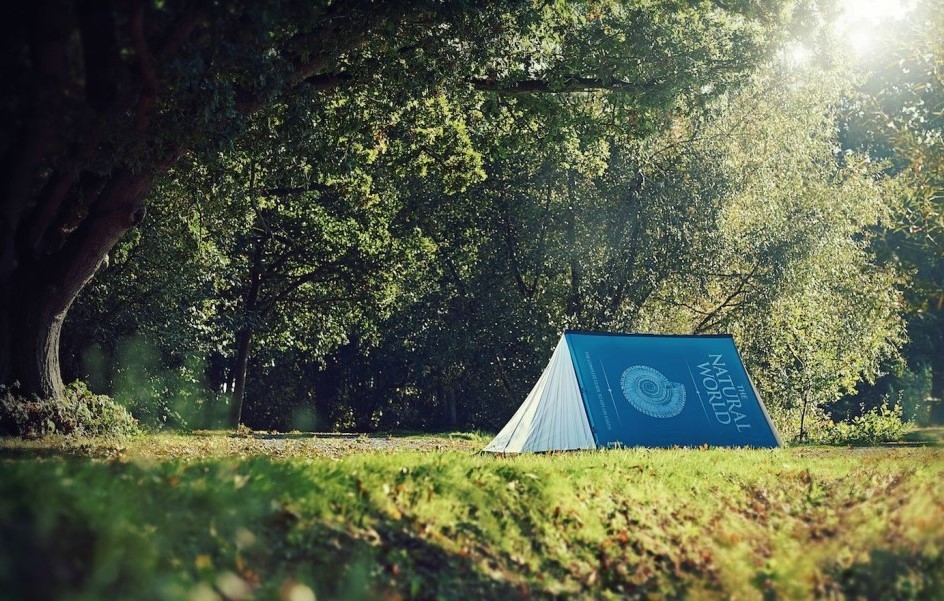 FieldCandy Festival Zelt Buch