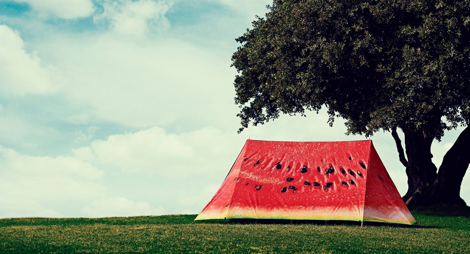 FieldCandy Melon